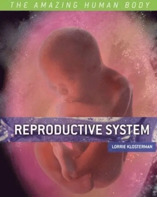 Lorrie Klosterman - Reproductive System, E-bok. Tillgänglighet: Lägg i varukorg