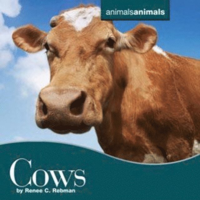 Tracy Barrett - Cows, E-bok