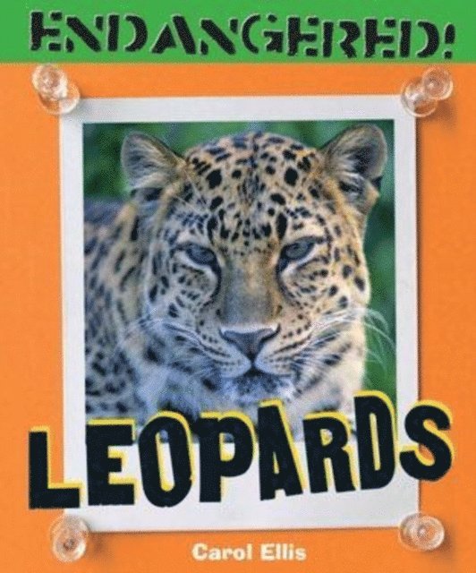 Carol Ellis - Leopards, E-bok