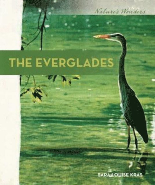 Sara Louise Kras - Everglades, E-bok