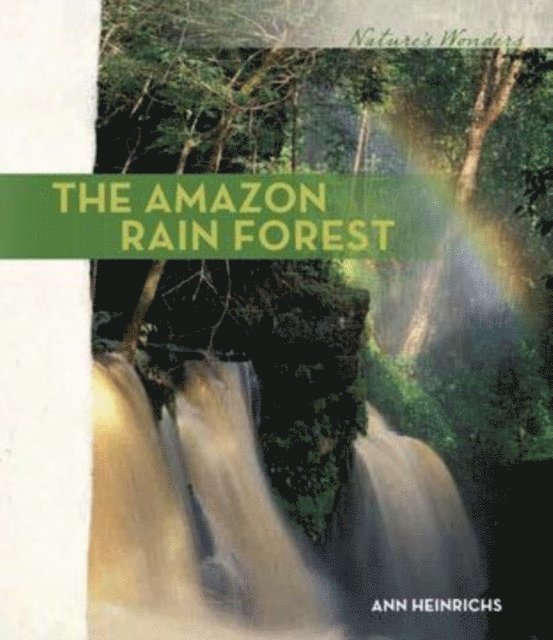 Ann Heinrichs - Amazon Rain Forest, E-bok