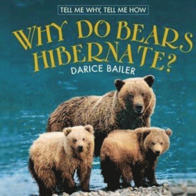 Darice Bailer - Why Do Bears Hibernate?, E-bok. Tillgänglighet: Lägg i varukorg