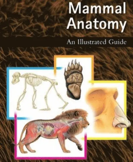 Marshall Cavendish Reference Staff - Mammal Anatomy: An Illustrated Guide, E-bok. Tillgänglighet: Lägg i varukorg