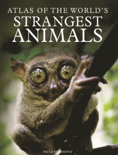 Paula Hammond - Atlas of the World's Strangest Animals, E-bok