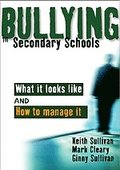 Bullying in Secondary Schools