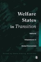 Welfare States in Transition av Gosta Esping-Andersen, Gsta Esping-Andersen