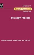 Strategy Process