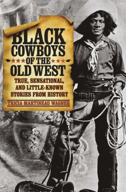 Tricia Martineau Wagner - Black Cowboys of the Old West, E-bok