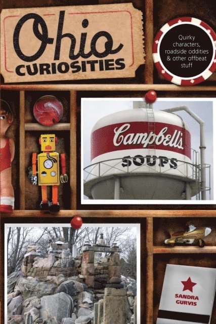 Sandra Gurvis - Ohio Curiosities, E-bok