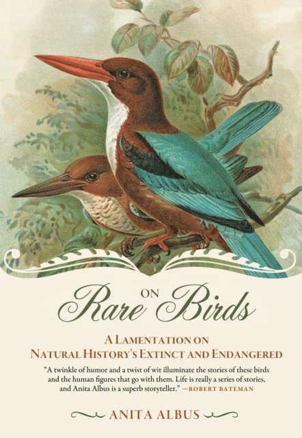Anita Albus - On Rare Birds, E-bok