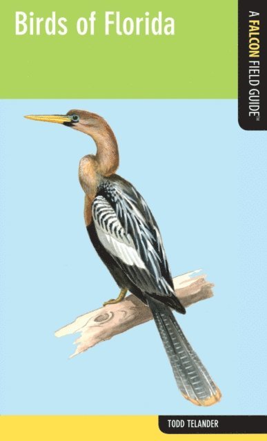 Todd Telander - Birds of Florida, E-bok