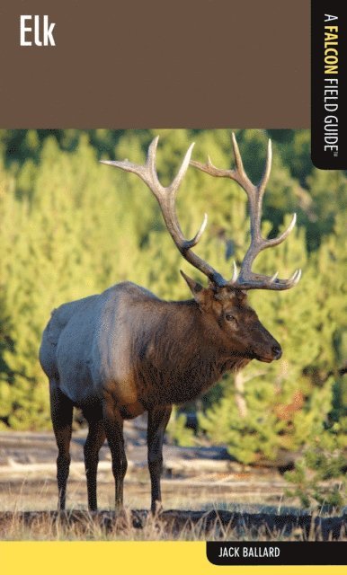 Jack Ballard - Elk, E-bok