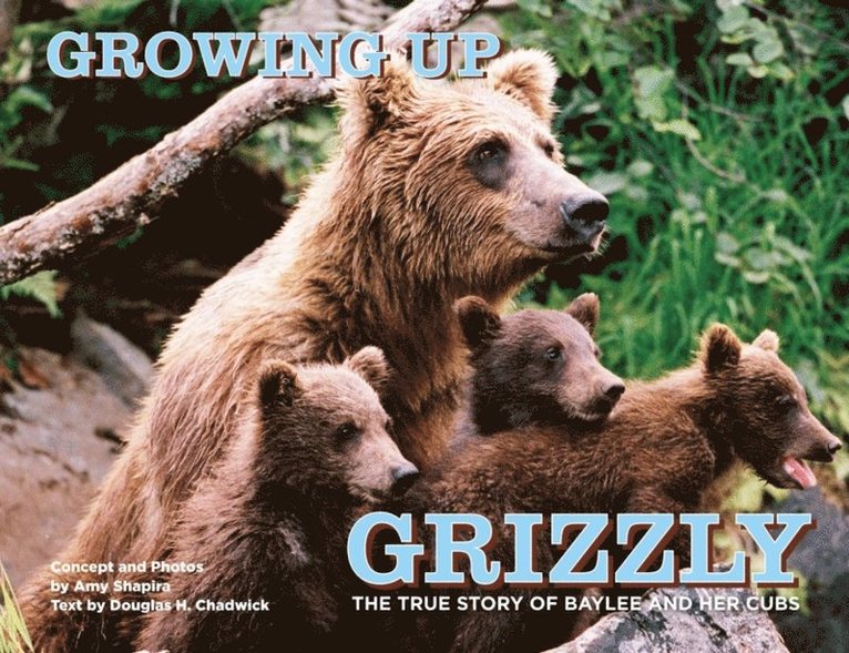 Douglas Chadwick, Amy Shapira - Growing Up Grizzly, E-bok