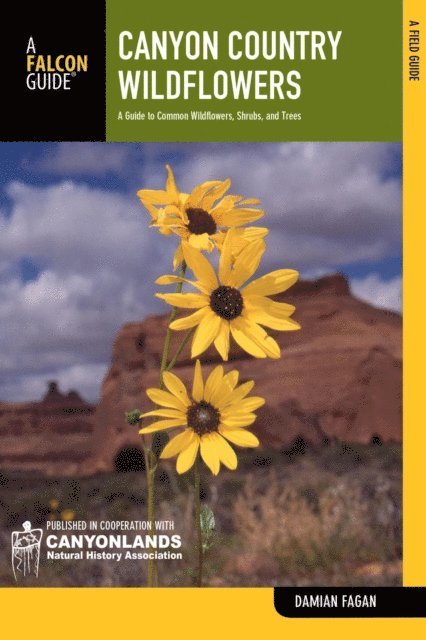 Damian Fagan - Canyon Country Wildflowers, E-bok