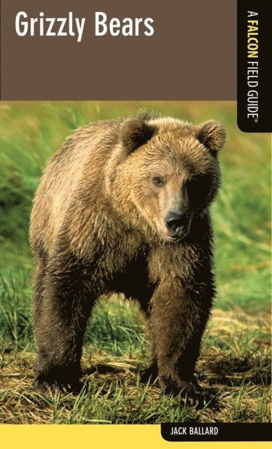 Jack Ballard - Grizzly Bears, E-bok