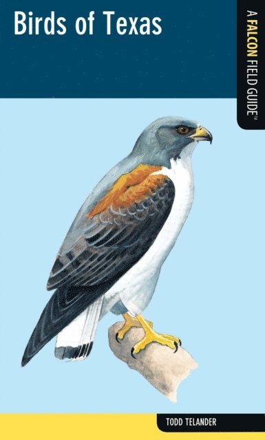 Todd Telander - Birds of Texas, E-bok