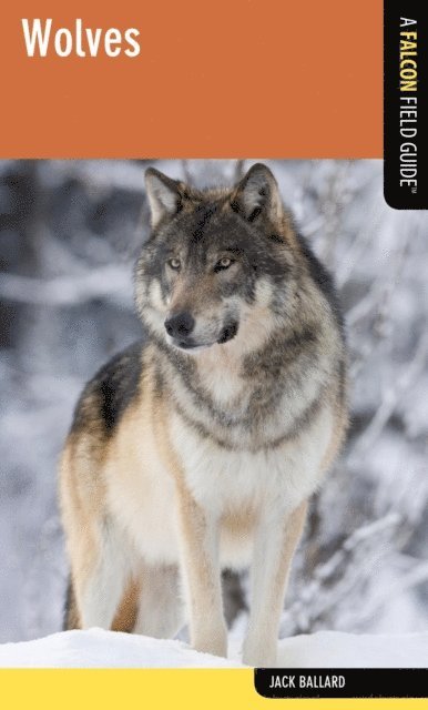 Jack Ballard - Wolves, E-bok