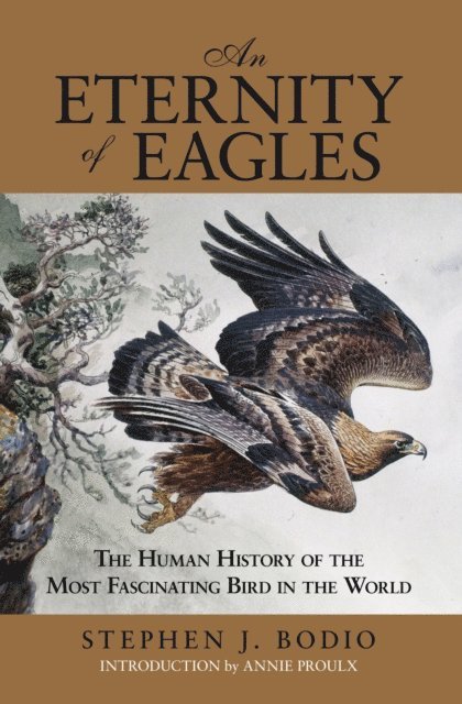 Stephen J. Bodio - Eternity of Eagles, E-bok. Tillgänglighet: Lägg i varukorg