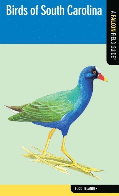 Todd Telander - Birds of South Carolina, E-bok