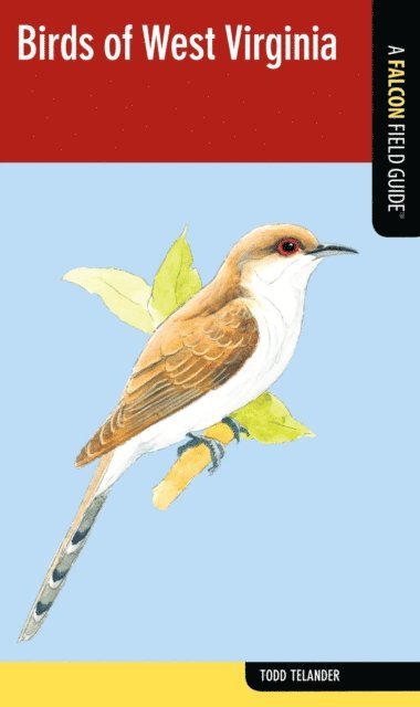Todd Telander - Birds of West Virginia, E-bok