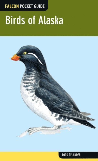 Todd Telander - Birds of Alaska, E-bok