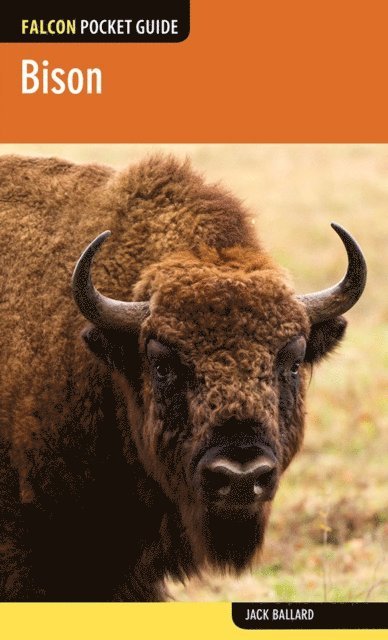Jack Ballard - Bison, E-bok