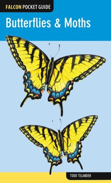Todd Telander - Butterflies & Moths, E-bok