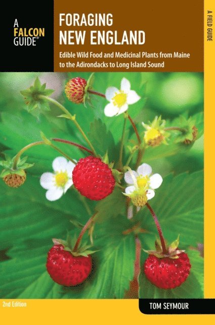 Tom Seymour - Foraging New England, E-bok