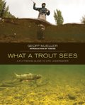 What a Trout Sees