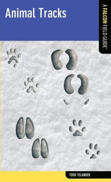 Todd Telander - Animal Tracks, E-bok