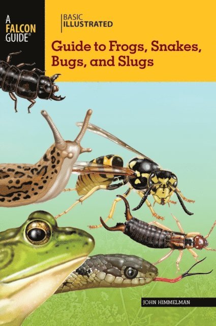 John Himmelman - Basic Illustrated Guide to Frogs, Snakes, Bugs, and Slugs, E-bok