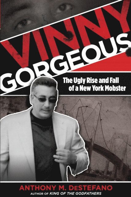 Anthony M. DeStefano - Vinny Gorgeous, E-bok