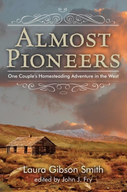 John Fry - Almost Pioneers, E-bok