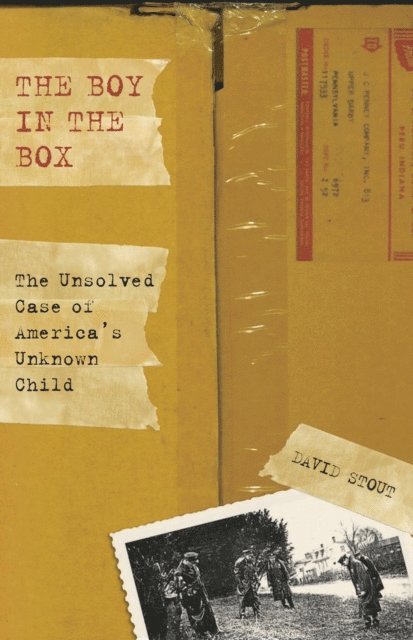 David Stout - Boy in the Box, E-bok