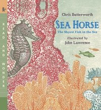 Sea Horse: The Shyest Fish in the Sea