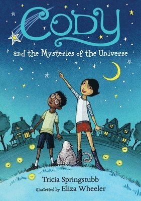 Tricia Springstubb - Cody and the Mysteries of the Universe, Inbunden