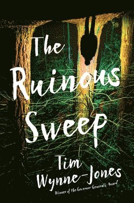 Tim Wynne-Jones - The Ruinous Sweep, Inbunden