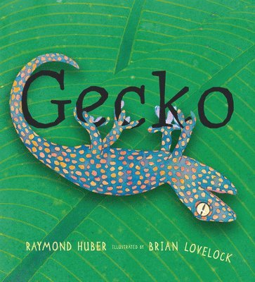 Raymond Huber - Gecko, Inbunden. Tillgänglighet: Tillfälligt slut
