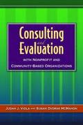 Consulting And Evaluation With Nonprofit And Community-Based Organizations