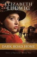 E Ludwig - Dark Road Home, Häftad. Tillgänglighet: Lägg i varukorg
