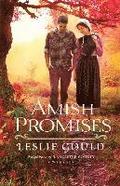 Amish Promises