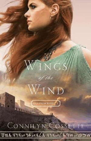 Connilyn Cossette - Wings of the Wind, Häftad
