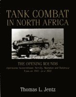 Tank Combat in North Africa