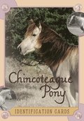 Chincoteague Pony Identification Cards: Set 2