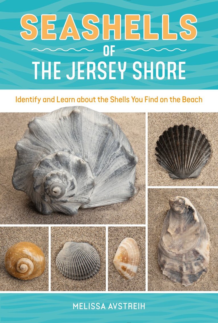Melissa Avstreih - Seashells of the Jersey Shore, Häftad. Tillgänglighet: Lägg i varukorg