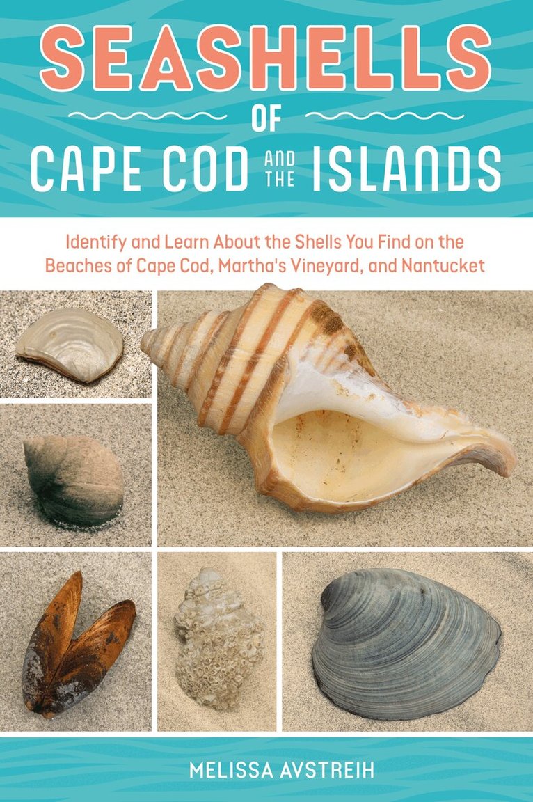 Melissa Avstreih - Seashells of Cape Cod and the Islands, Häftad. Tillgänglighet: Lägg i varukorg