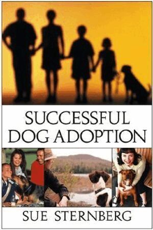 Successful Dog Adoption