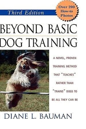 Beyond Basic Dog Training