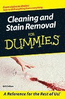 Gill Chilton - Cleaning and Stain Removal for Dummies, Häftad