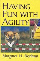 Having Fun with Agility without Competition
